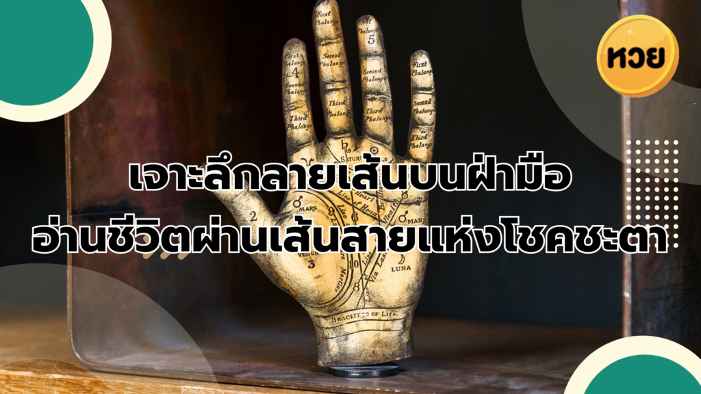 ดูลายมือ